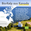 GREEN NATURALS Jod aus Bio-Kelp 200 μg Kapseln