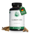 GREEN NATURALS Cordyceps sinensis Kapseln
