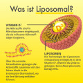 GREEN NATURALS Vitamin D3 liposomal hochdos.Kaps.