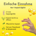 GREEN NATURALS Vitamin D3 liposomal hochdos.Kaps.