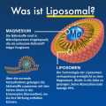 GREEN NATURALS Magnesiumcitrat liposomal veg.Kaps.