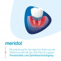 MERIDOL Parodont-Expert Mundspülung