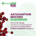 ARMOLIPID EXTRA Tabletten mit Artischoke