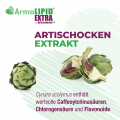ARMOLIPID EXTRA Tabletten mit Artischoke