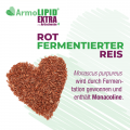 ARMOLIPID EXTRA Tabletten mit Artischoke