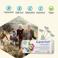 GASTRITOL Lutschpastillen