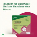 FLORADIX Eisen Sticks Pulver Salus
