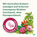 FLORADIX Eisen Sticks Pulver Salus