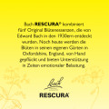 BACHBLÜTEN Original Rescura Pastillen Apfel-Minze