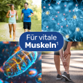GLYCOWOHL Magnesium 400 mg hochdosiert vegan Kaps.