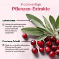 DÖDERLEIN CystoBiotic Milchsäurebakt.+Cranber.Plv.