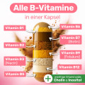 GLYCOWOHL Vitamin B complete+Inositol+Cholin Kaps.