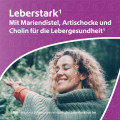 LEBER-KOMPLEX Mariendistel+Artischocke+Cholin Kps.