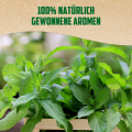 Odol-med3 Naturals Fresh Mint natürlichere* Zahnpasta mit 3in1 Schutz, 75ml