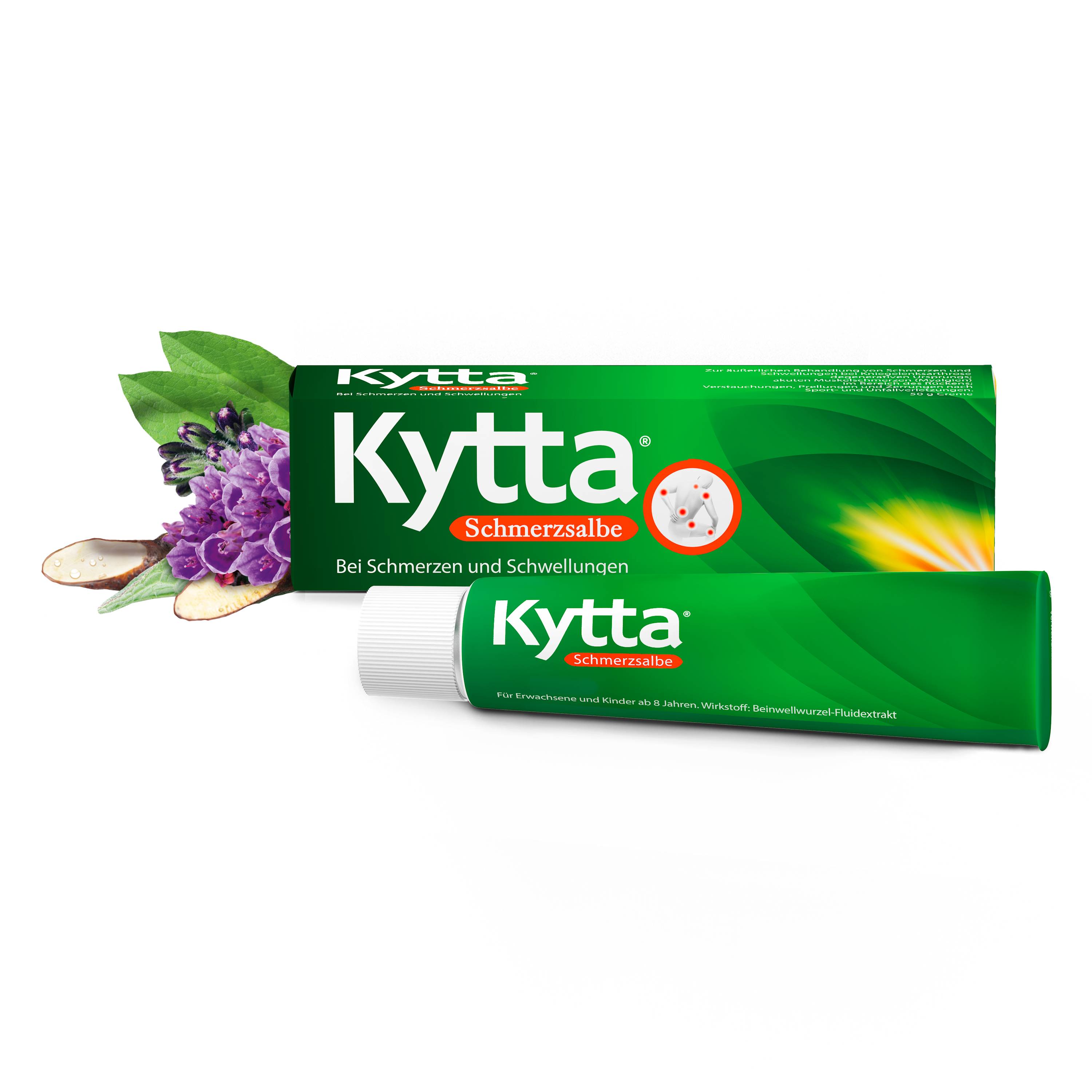 KYTTA Schmerzsalbe KYTTA Schmerzsalbe