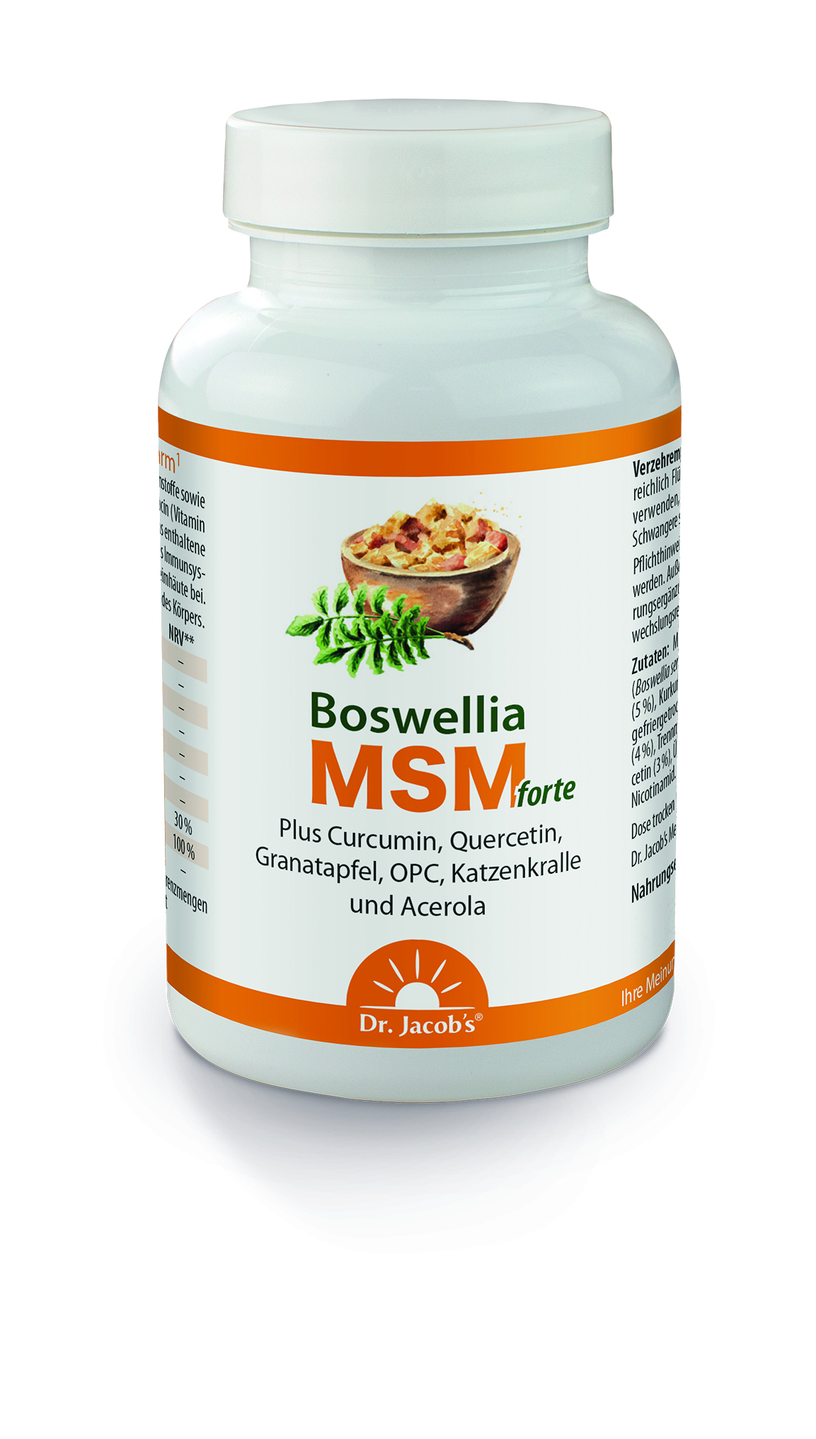 BOSWELLIA MSM forte Dr.Jacob's Tabletten BOSWELLIA MSM forte Dr.Jacob's Tabletten