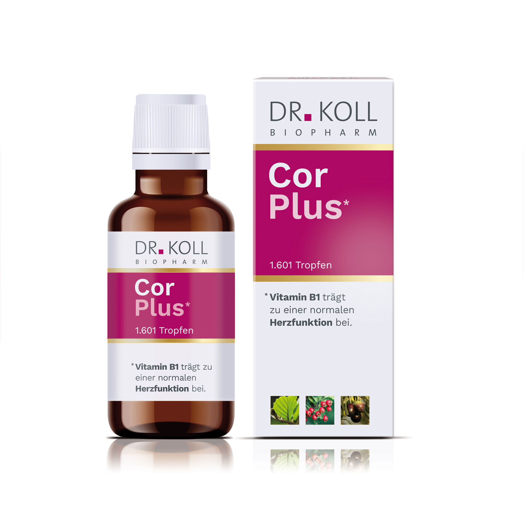 COR PLUS Dr.Koll Gemmo Komplex Weißdorn Vit.B1 Tro COR PLUS Dr.Koll Gemmo Komplex Weißdorn Vit.B1 Tro